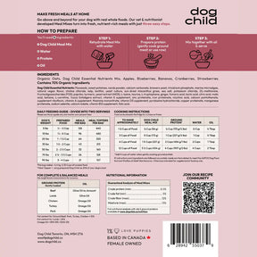 Oats & Berries Meal Mix For Dogs Dog Child