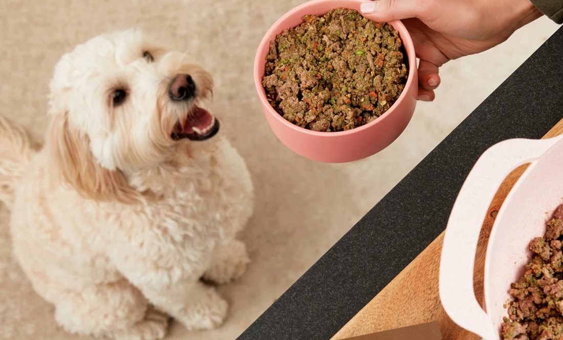 Vancouver Sun Article - Dog Child offers meal mixes for dogs. Dog Child