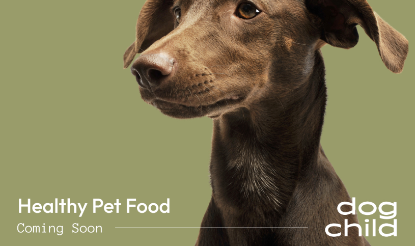 Global Newswire Article - Reimagining home cooked meals for pets, Dog Child was chosen by Leap Venture Studio for its 2022 global pet care accelerator program