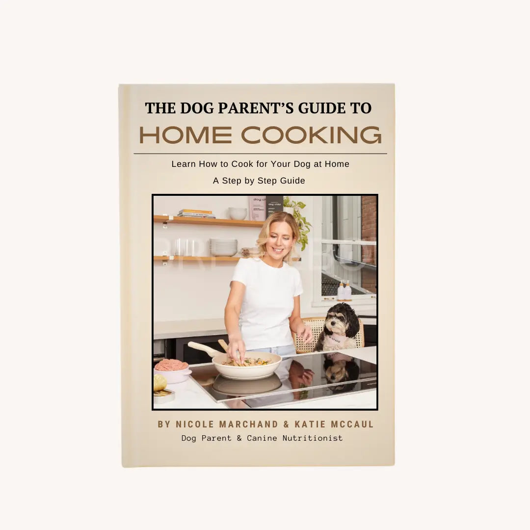 The Dog Parent’s Guide to Home Cooking Dog Child