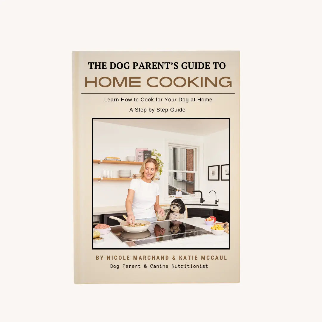 The Dog Parent’s Guide to Home Cooking Dog Child