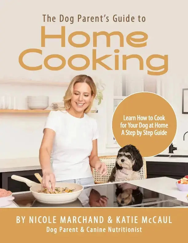 The Dog Parent’s Guide to Home Cooking Dog Child