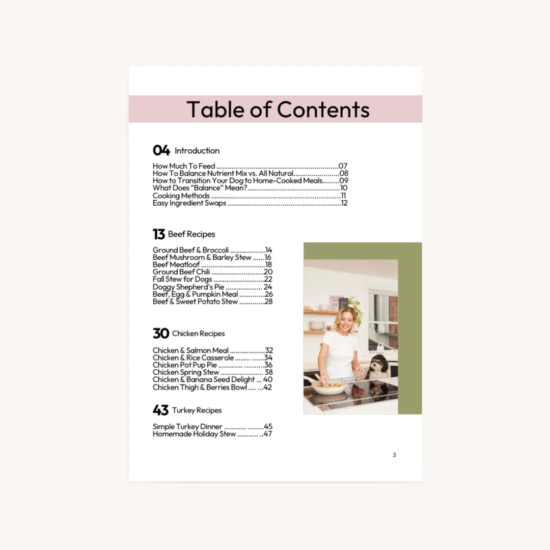 The Homemade Dog Food Cookbook — 50 Nutritionist Recipes Dog Child