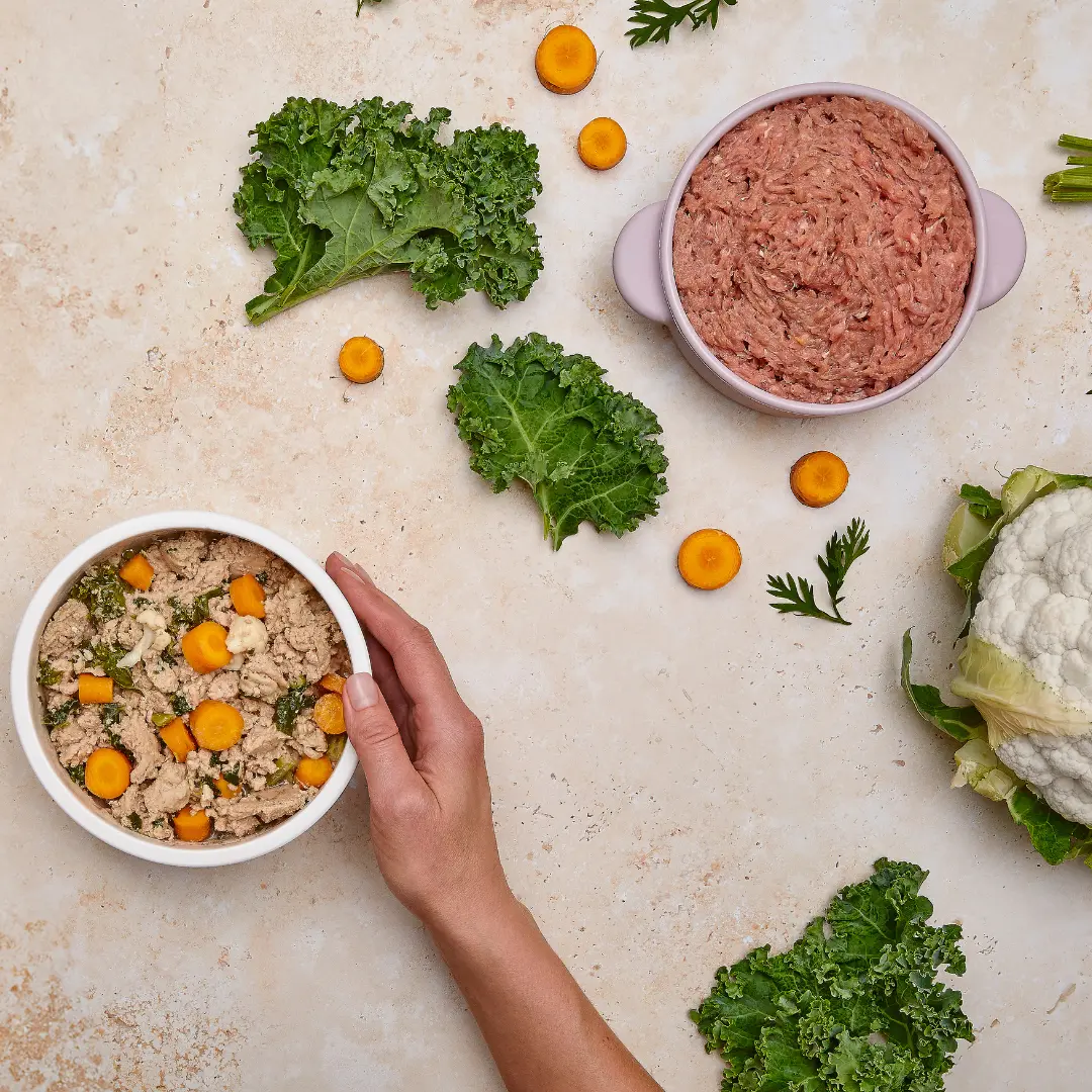 🐾 The VIP Dog Parents Community — The Simple, Science-Backed Way to Cook for Your Dog With Confidence Dog Child