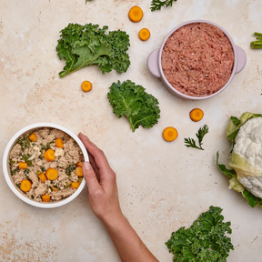 🐾 The VIP Dog Parents Community — The Simple, Science-Backed Way to Cook for Your Dog With Confidence Dog Child