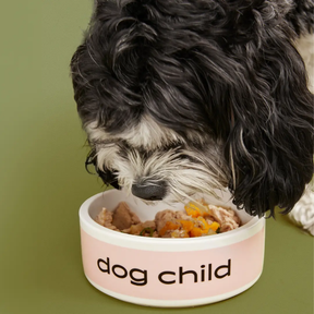 🐾 The VIP Dog Parents Community — The Simple, Science-Backed Way to Cook for Your Dog With Confidence Dog Child