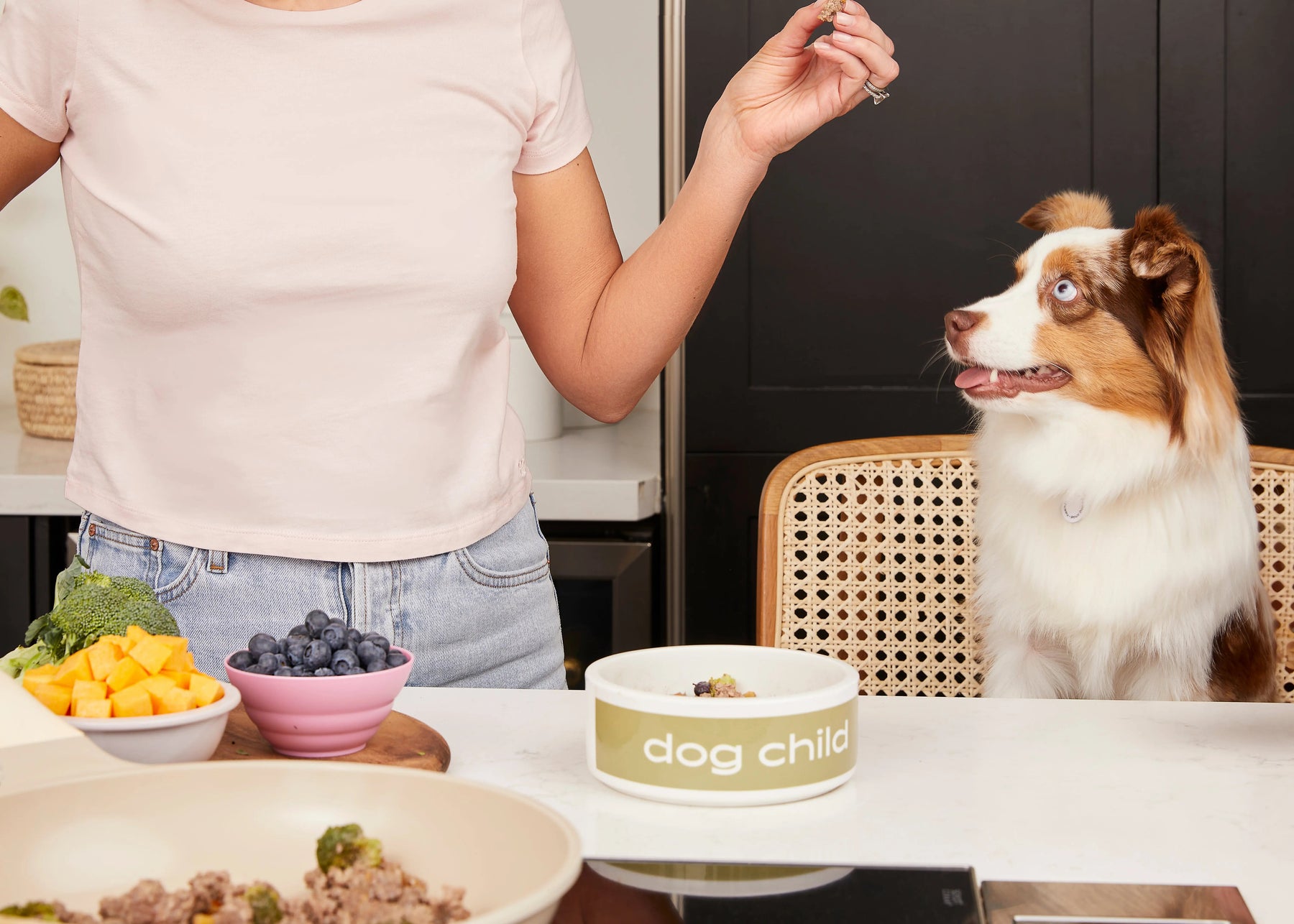 🐾 The VIP Dog Parents Community — The Simple, Science-Backed Way to Cook for Your Dog With Confidence Dog Child